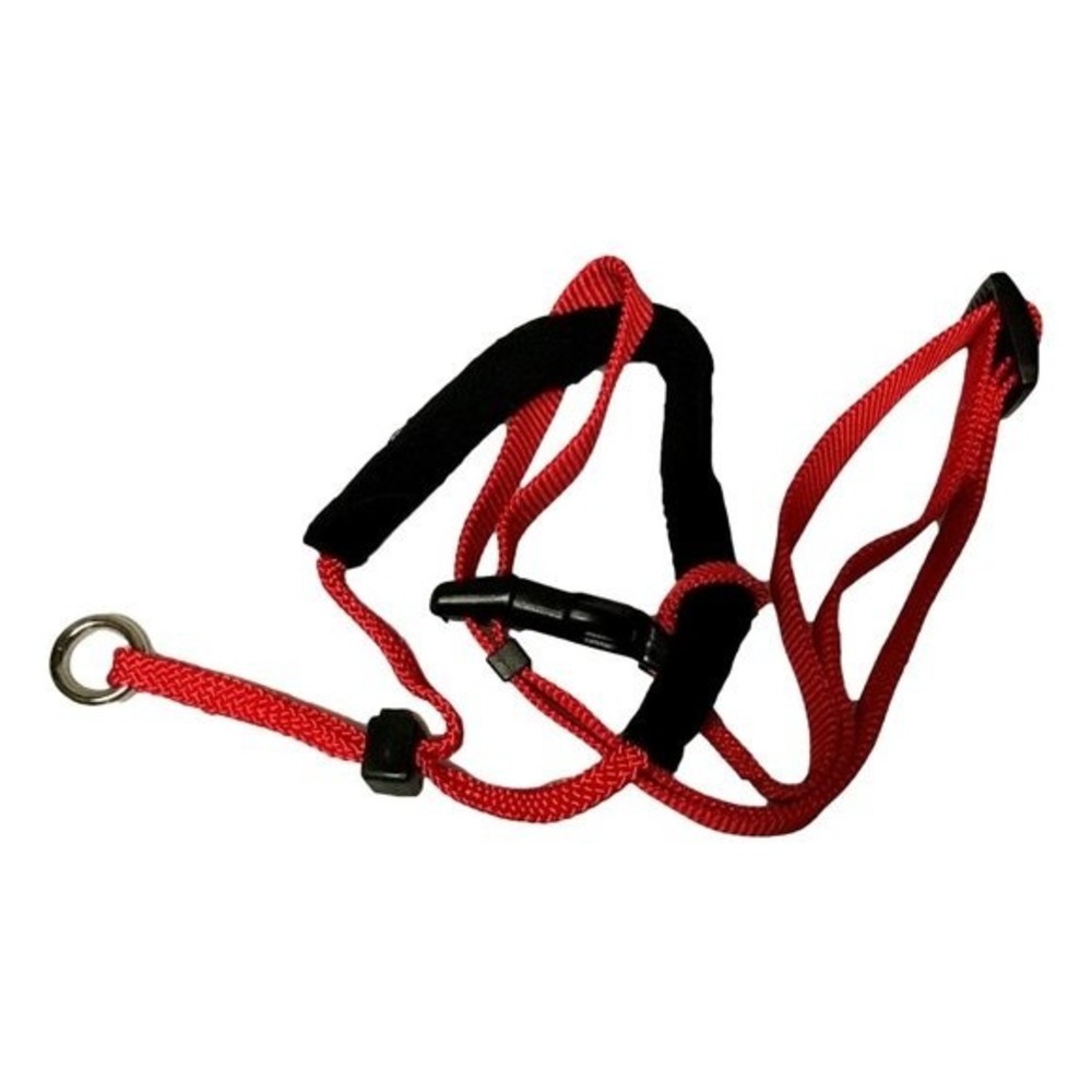 Aspen Pet Adjustable Training Padded Halter